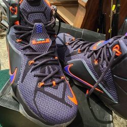 Nike LeBron 12 Instinct
