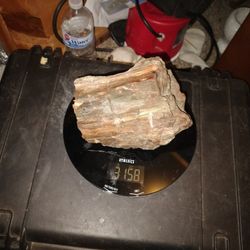 Petrified Wood, Serpentine, Jasper, Obsidian.