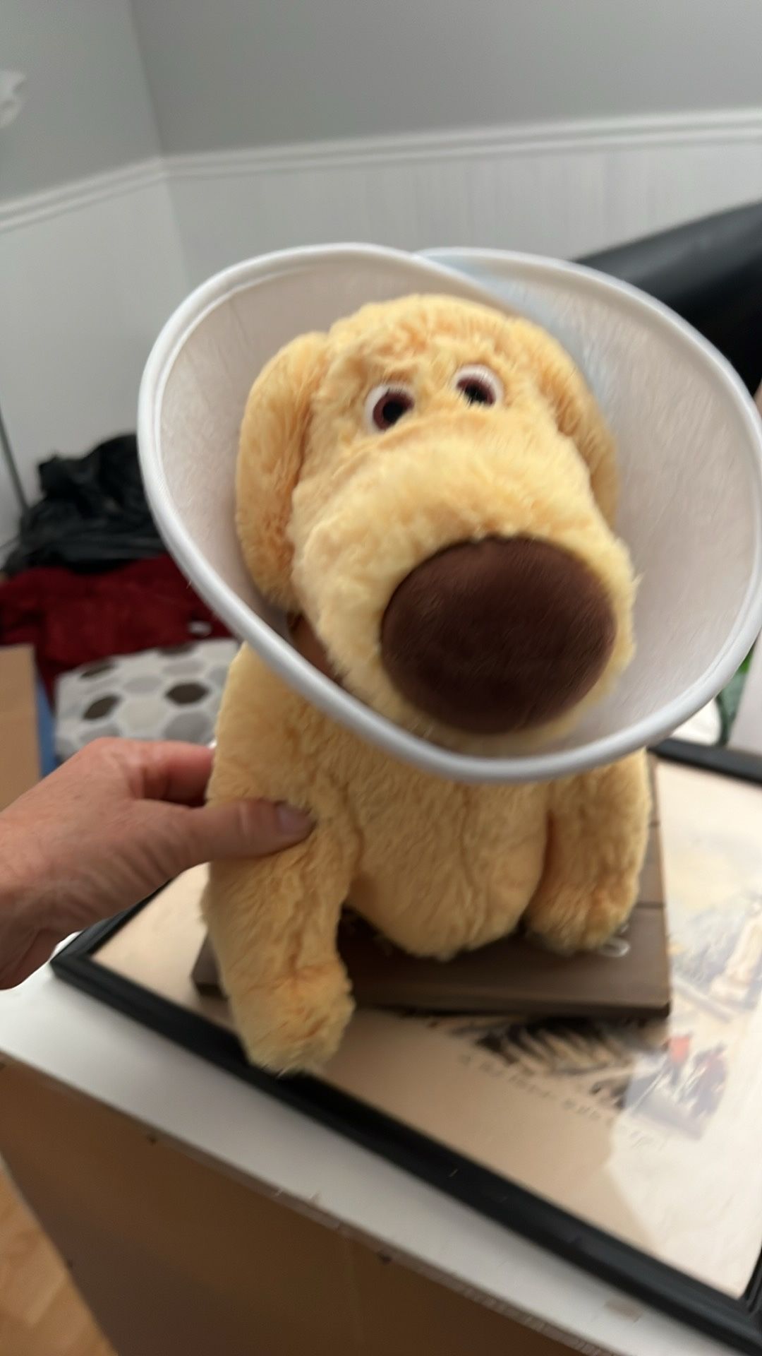 Doug Dog From UP