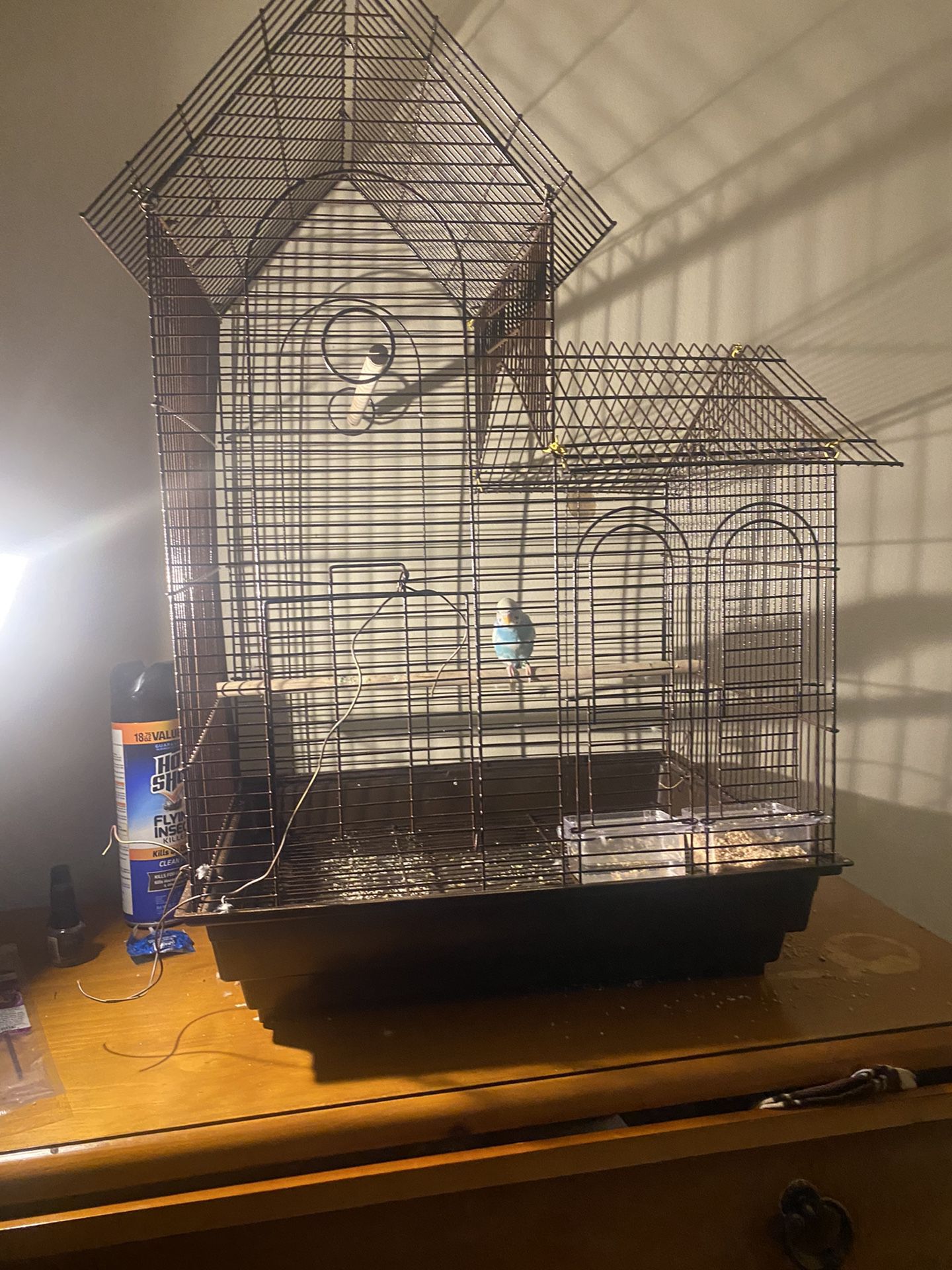 Bird Cage And Bird With Food