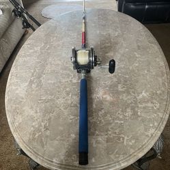 Fishing Pole And Reel