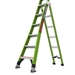 Little Giant Ladder