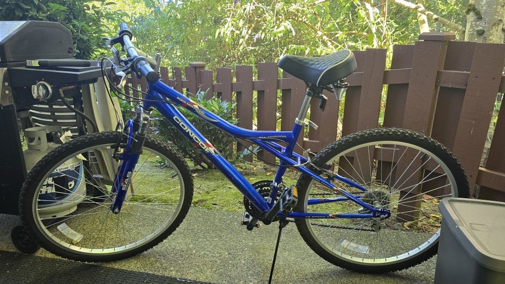 Mountain Bike