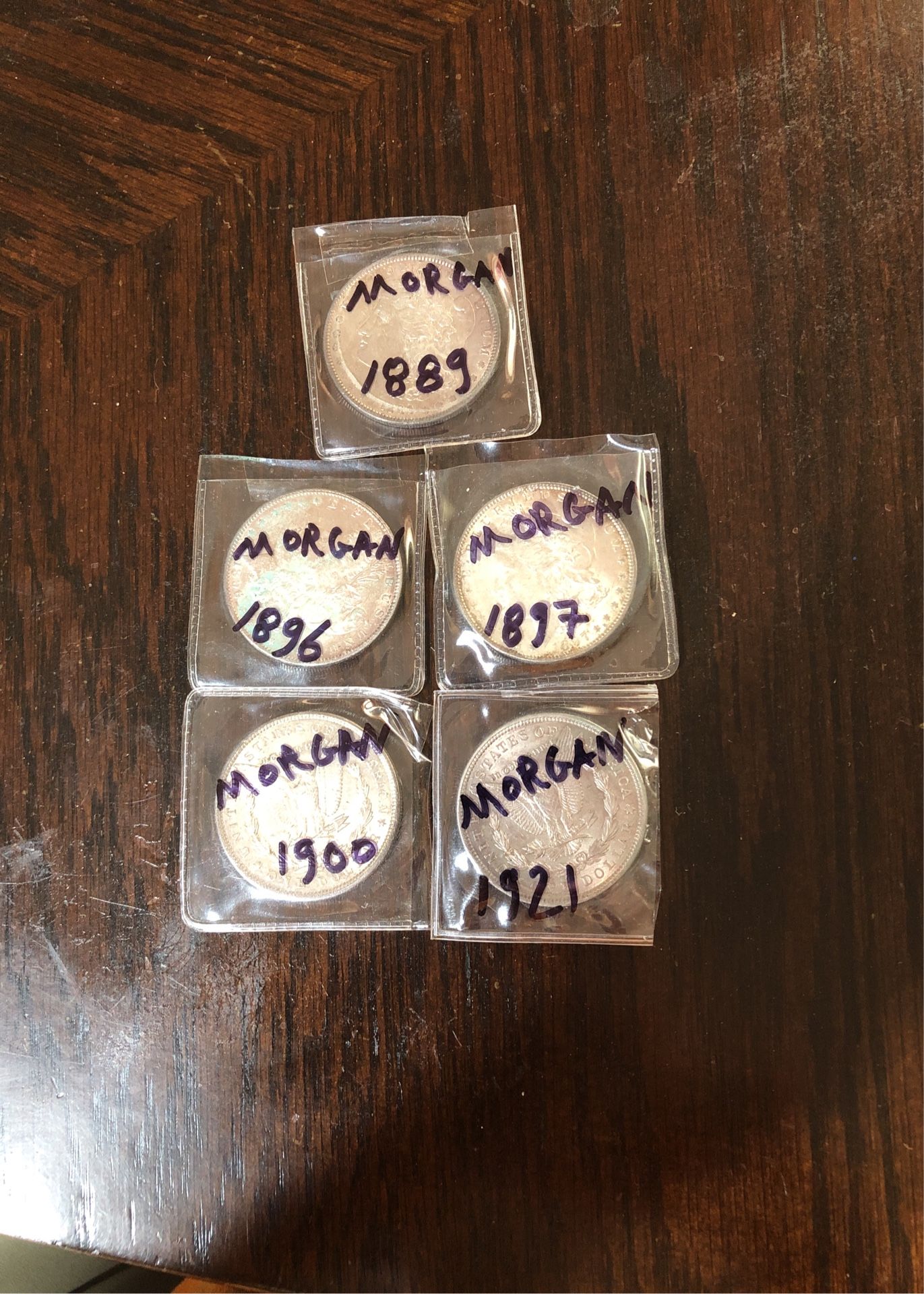 Morgan Silver Dollar 5 Of them
