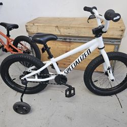 Specialized BMX Custom Built Kids bike.