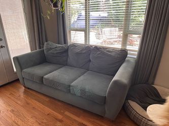 blue couch