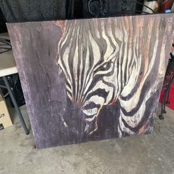 Zebra Canvas Pictures  