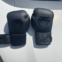 12 Oz Boxing Gloves 