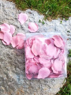 Dusty Rose Color ,rose Petals For Weddings Or Bridal Shower 