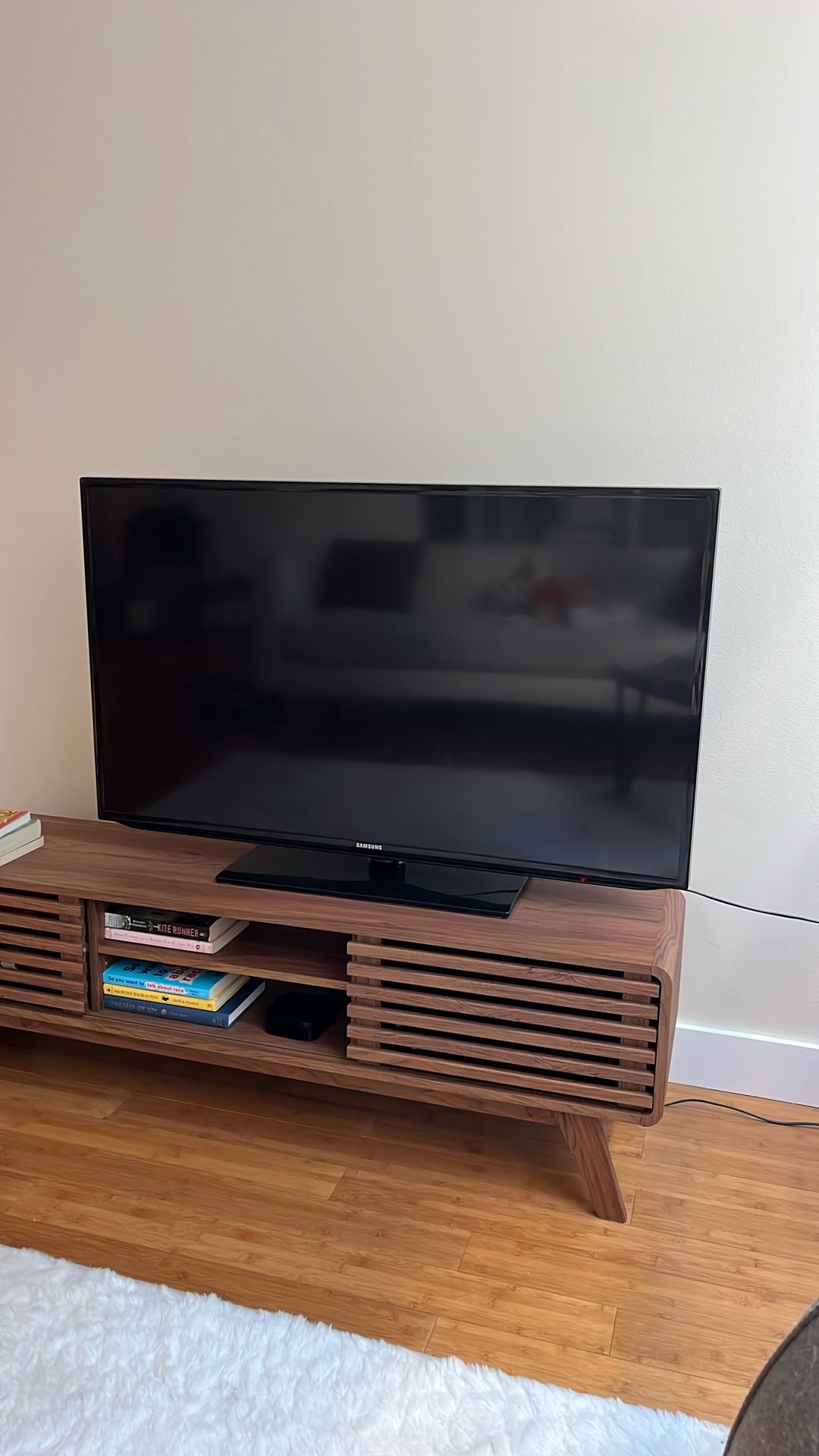 48” Samsung TV