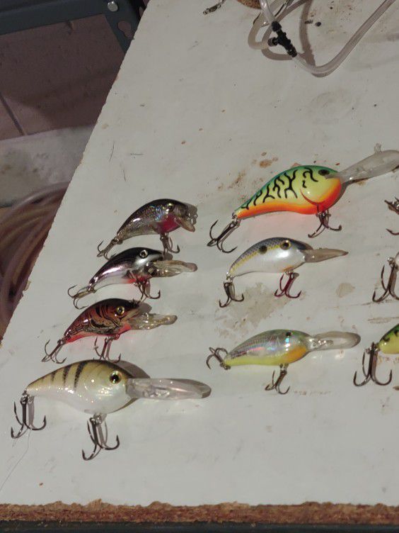 10 Bass Crankbaits Lot for Sale in Township Of Taylorsville, NC
