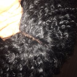 curly Human Blend Lacefront Wig 