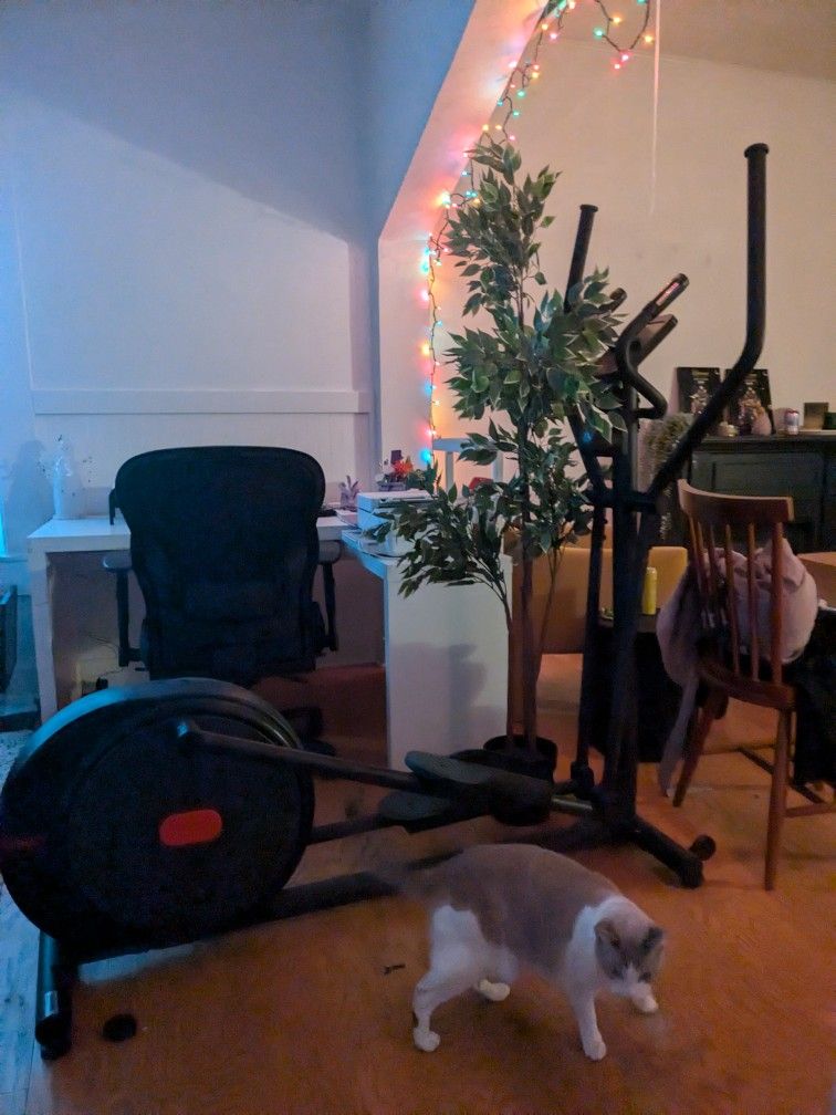 elliptical 