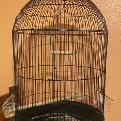 Bird Cage 