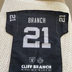 NFL Las Vegas Raiders Jersey Rally Towel