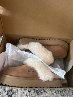 Uggs- disquete size 7