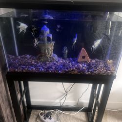 30 gallon Tank & Stand