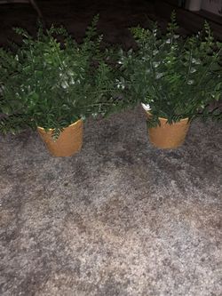 2 fake plant decor