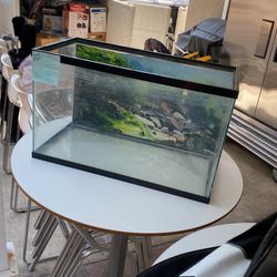 10 Gallon Tank