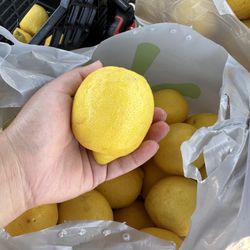 Lemons 