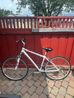 Infinity Topanga Bike White