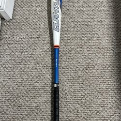 Baseball Bat Easton Quantum, Size 30, Drop -10