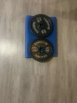 35 Lbs Gym Plates