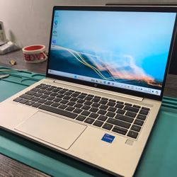 Private Investigator & Cheating Spouse 