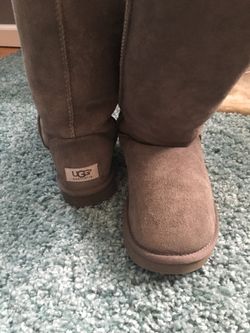 Tall UGGS size 7