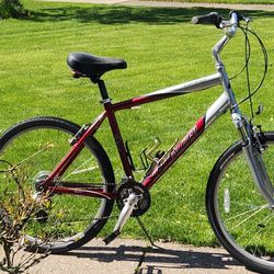 SPECIALIZED EXPEDITION SPORT COMFORT BIKE - LARGE FRAME - 21 SPEED - NEW KENDA TIRES - SERVICED 