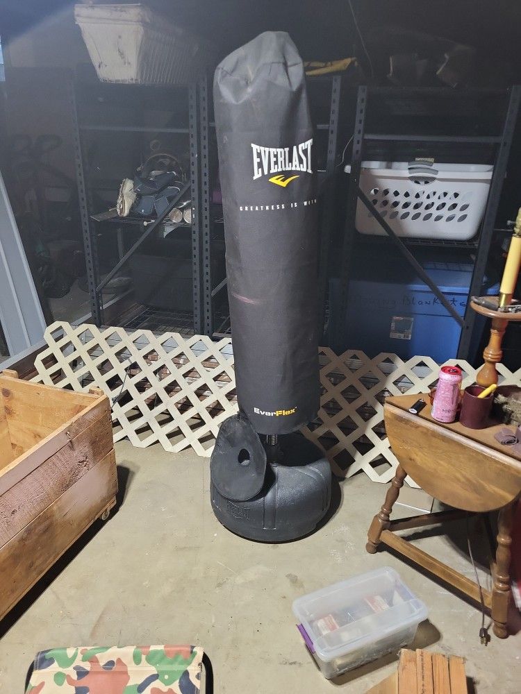 Everlast Punching Bag