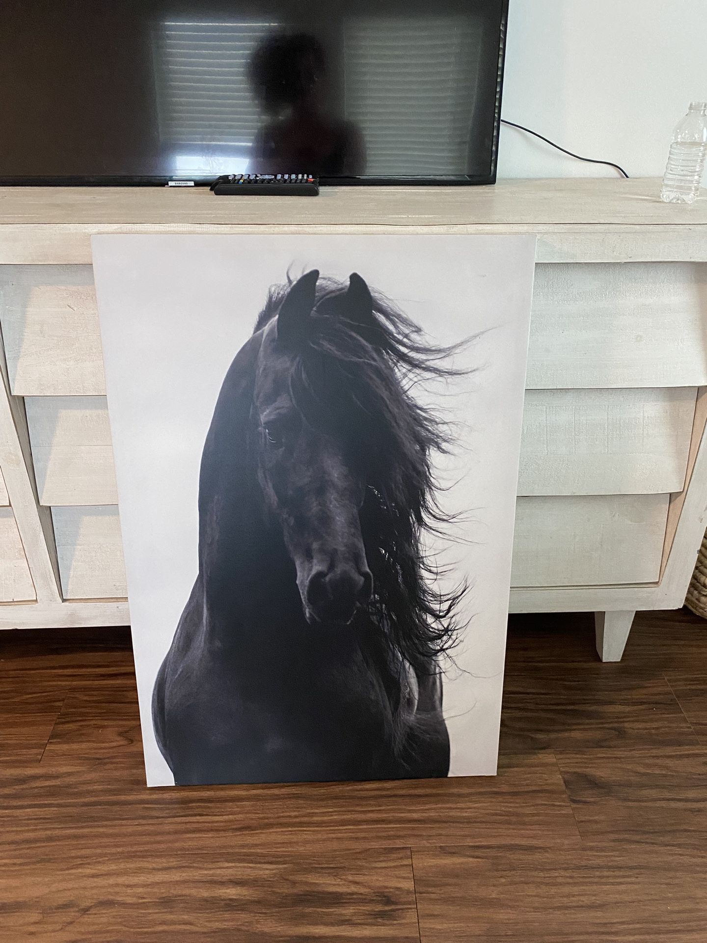 Horse Frame