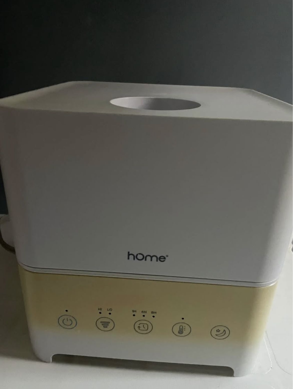 hOmeLabs Cool Mist Humidifier Diffuser - Extra Large 1 Gallon