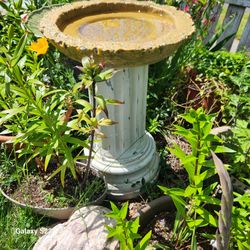 $100 cement birdbath