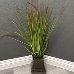 Fake Plant with Vase
