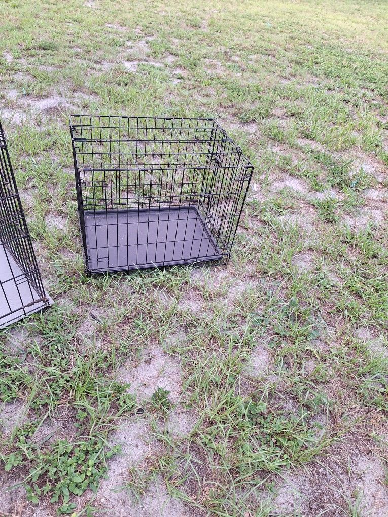 Dog Cage