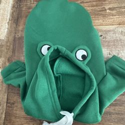 Pet Frog Hoodie 