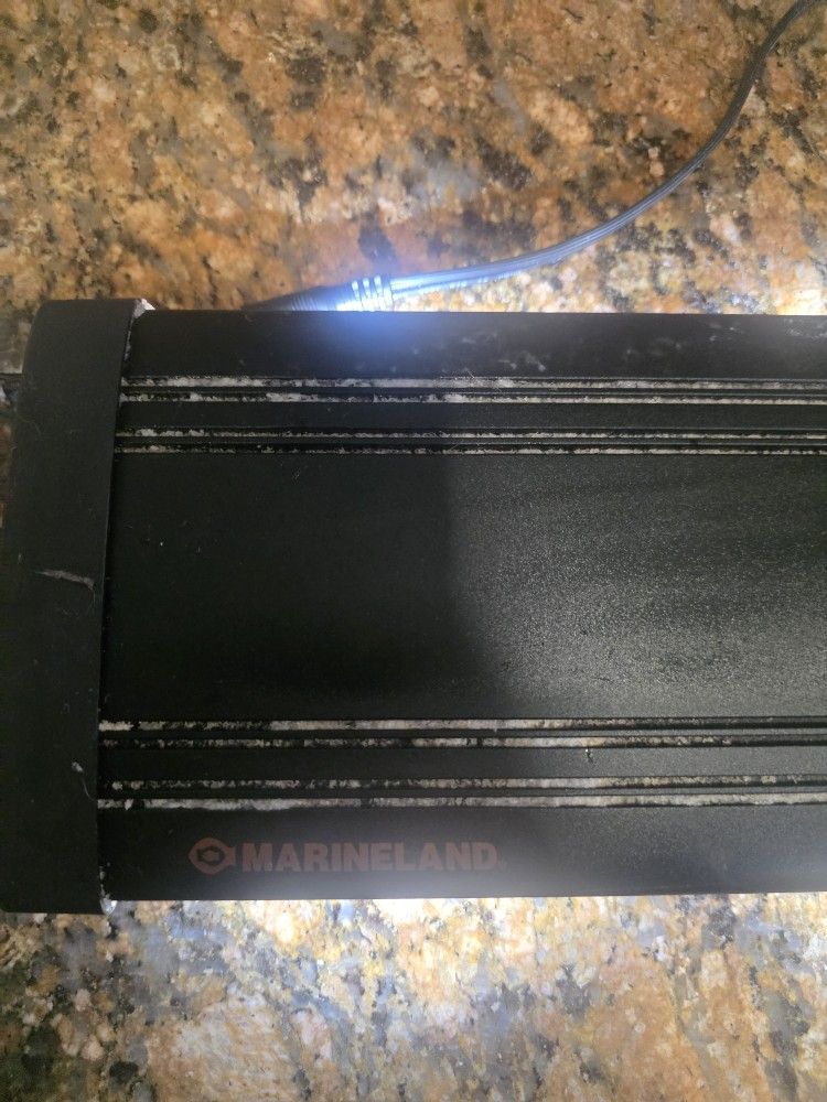 Fish Tank Light