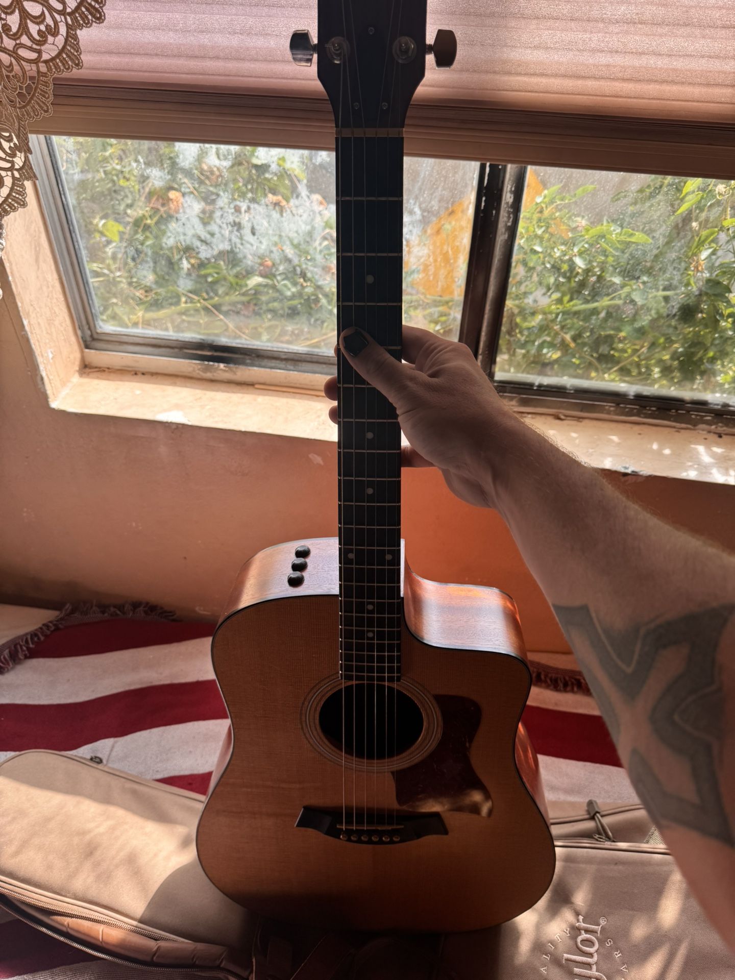 Taylor Guitar 110ce