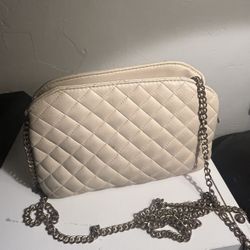 Beige Purse 