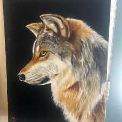 Mexican gray wolf Canvas