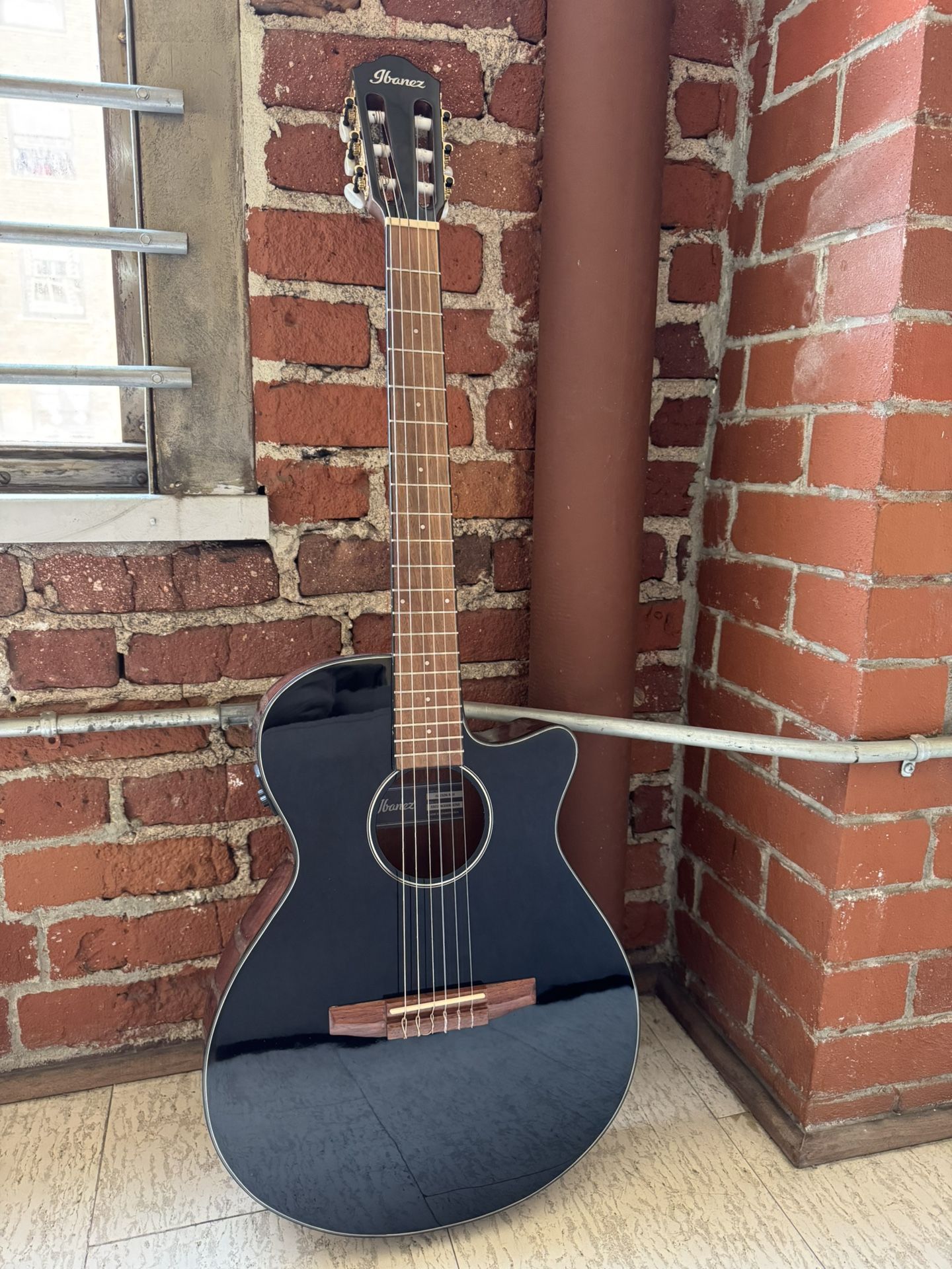 Ibanez Acoustic-Electric Guitar
