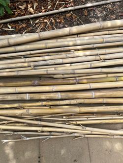 Bamboo canes