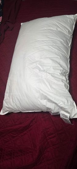 NEW QUEEN EVEREST PILLOWS