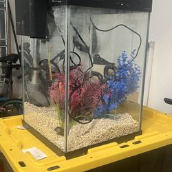 Top fin 10 gal starter kit