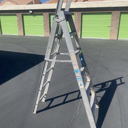 Werner 6ft Ladder 