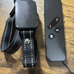Dog Training Collar