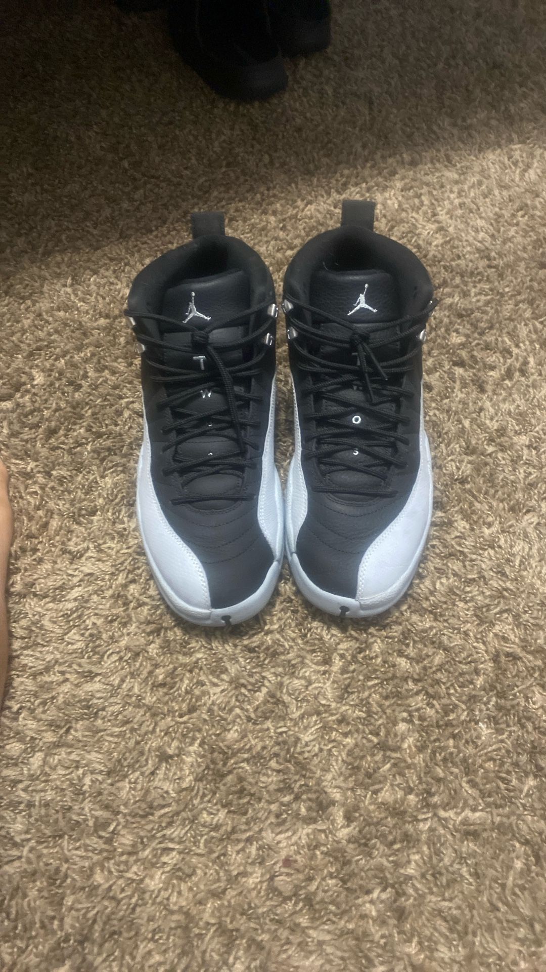 Jordan 12 Baron