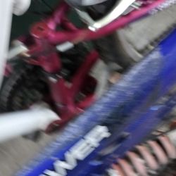 Roadmaster  Mountain Bike 