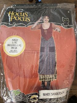 Mary Sanderson Costume